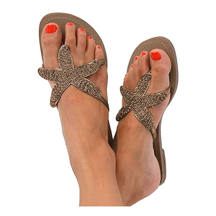 Casanova Sea Star Slides