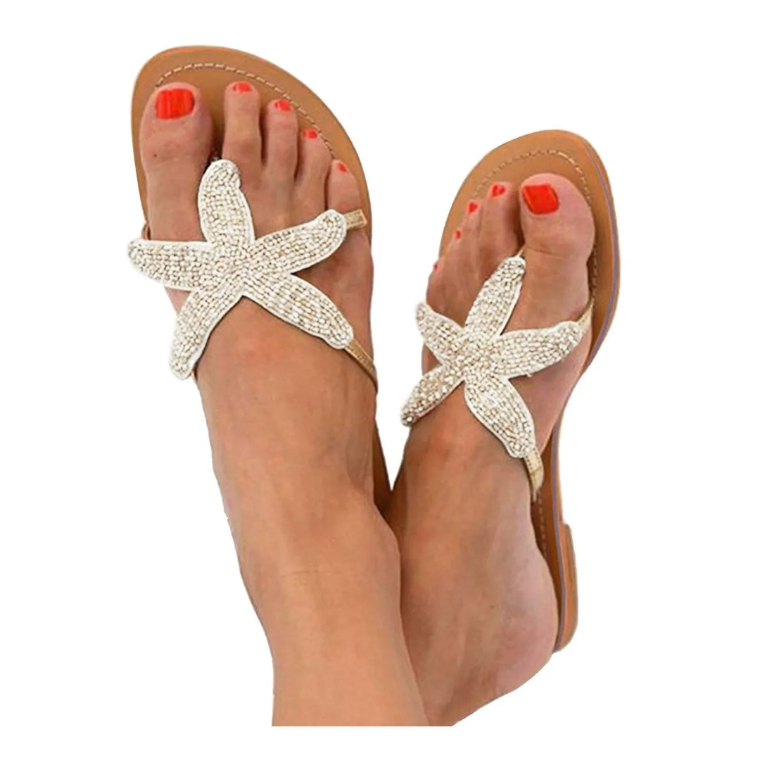 Casanova Sea Star Slides