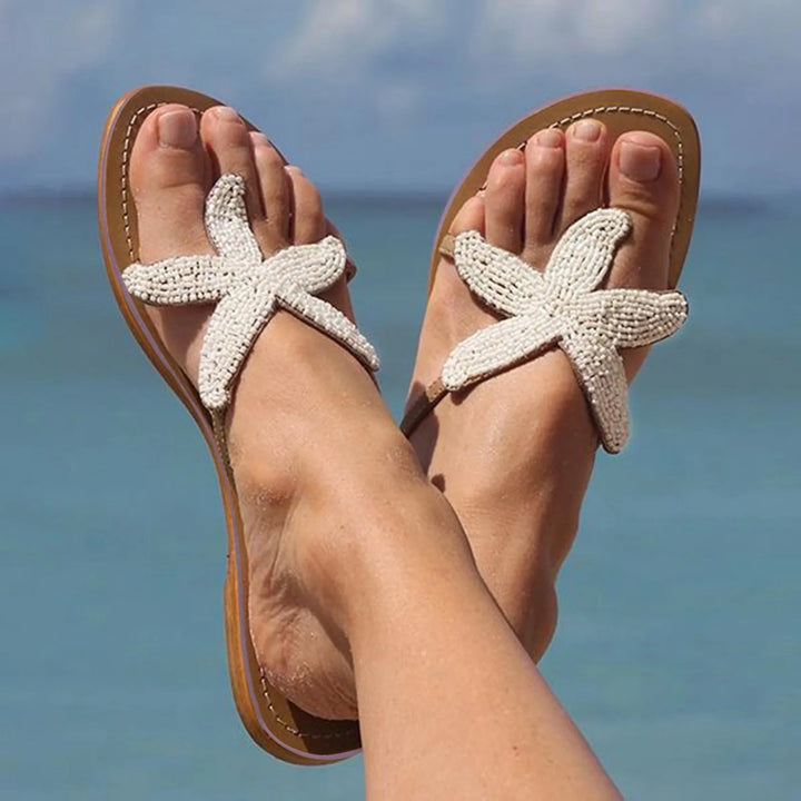 Casanova Sea Star Slides