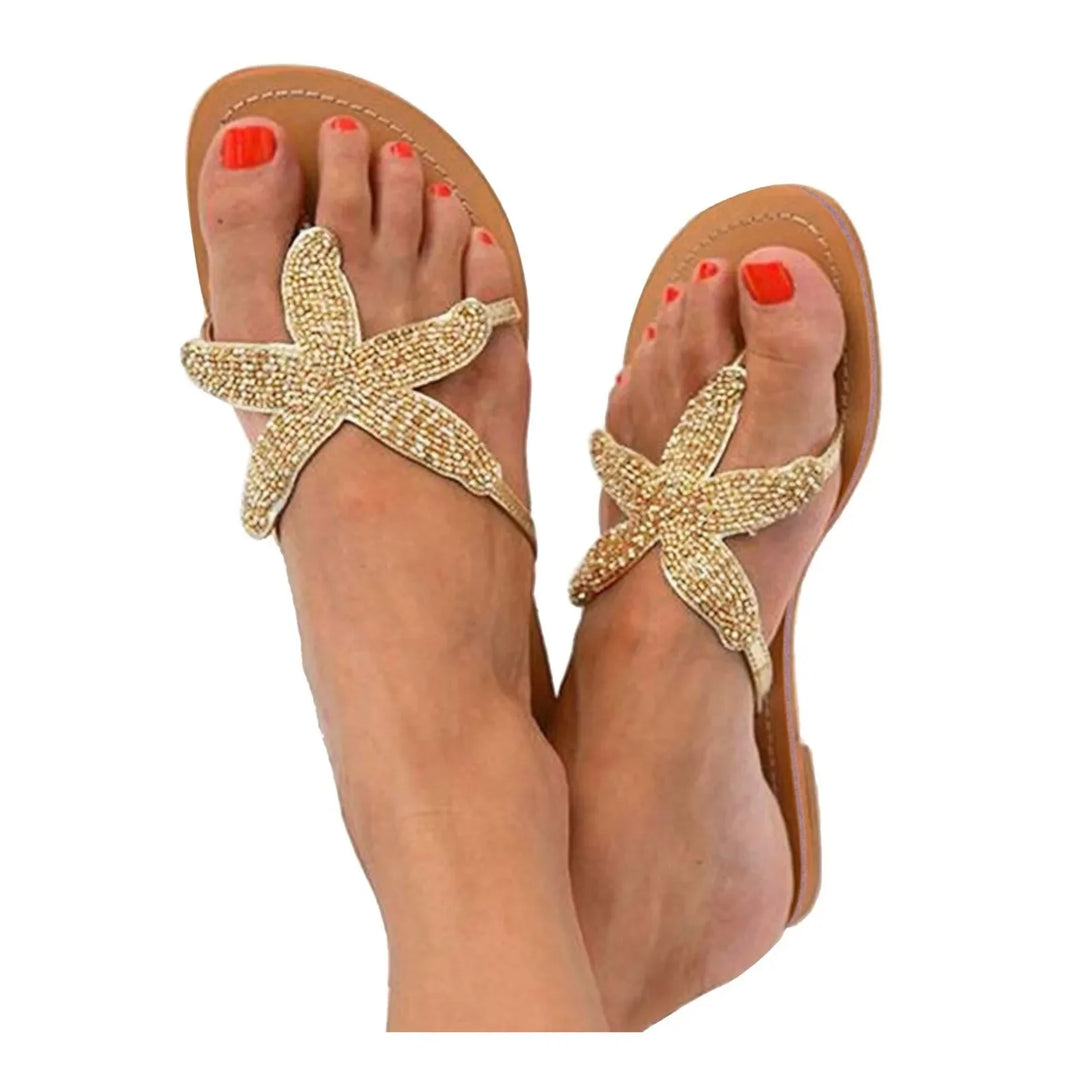 Casanova Sea Star Slides